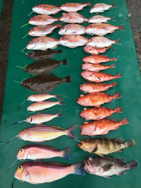 まるいち丸 ZERO-1 釣果