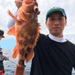 エヌスタイル 釣果