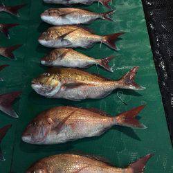 まるいち丸 ZERO-1 釣果