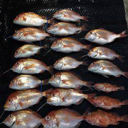 まるいち丸 ZERO-1 釣果