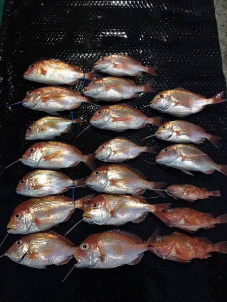 まるいち丸 ZERO-1 釣果