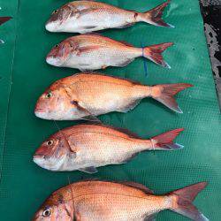 まるいち丸 ZERO-1 釣果