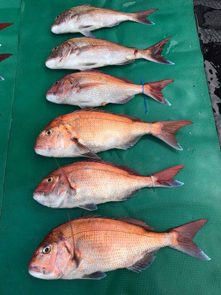 まるいち丸 ZERO-1 釣果