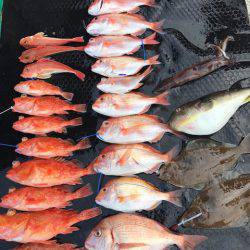 まるいち丸 ZERO-1 釣果