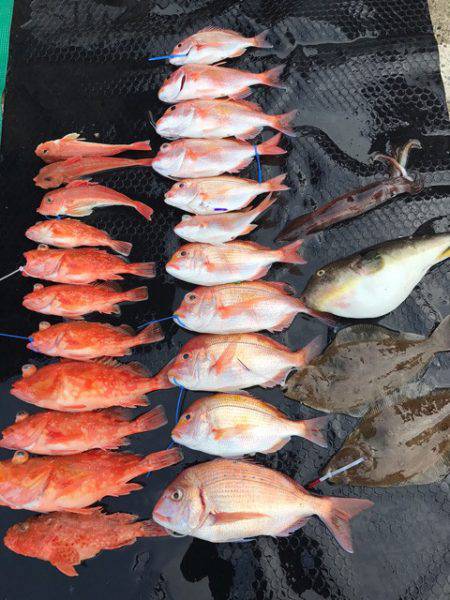 まるいち丸 ZERO-1 釣果