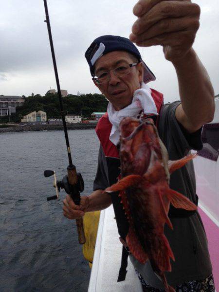 晃山丸 釣果