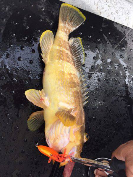 第二龍勢丸 釣果