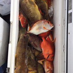 第二龍勢丸 釣果