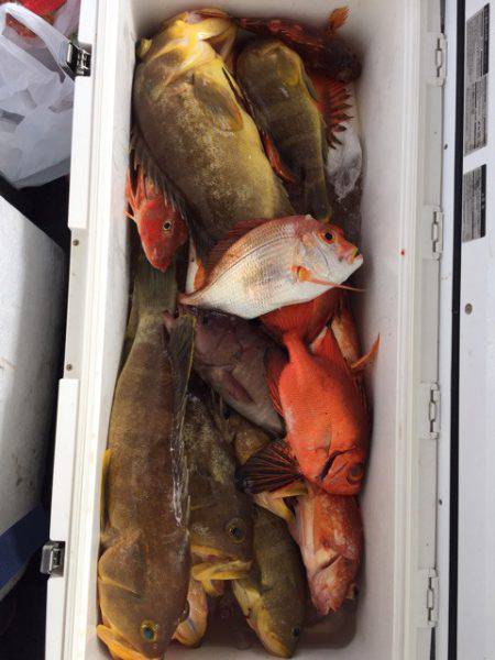 第二龍勢丸 釣果