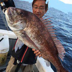 エヌスタイル 釣果