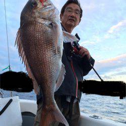 エヌスタイル 釣果