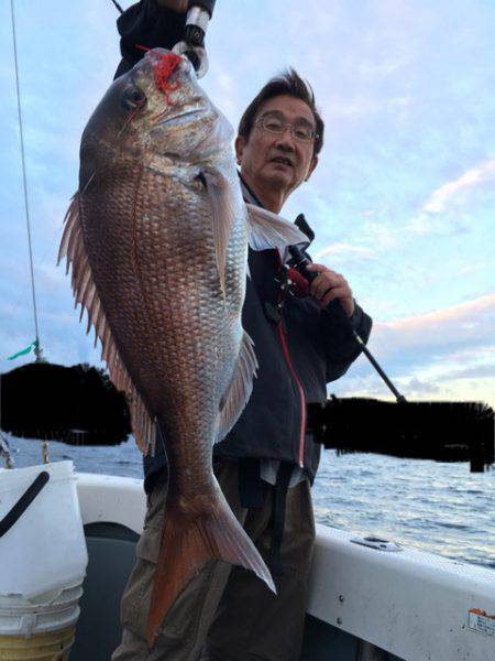 エヌスタイル 釣果