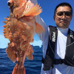 エヌスタイル 釣果