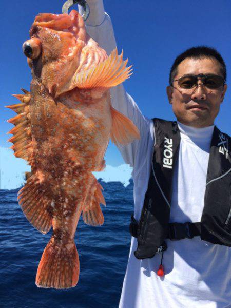 エヌスタイル 釣果