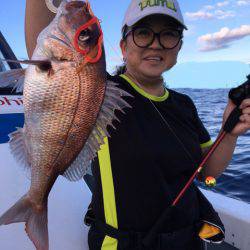 エヌスタイル 釣果