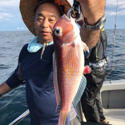 まるいち丸 ZERO-1 釣果