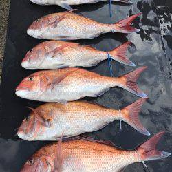 まるいち丸 ZERO-1 釣果