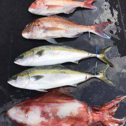 まるいち丸 ZERO-1 釣果