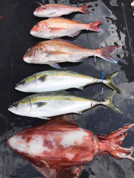 まるいち丸 ZERO-1 釣果