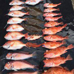 まるいち丸 ZERO-1 釣果