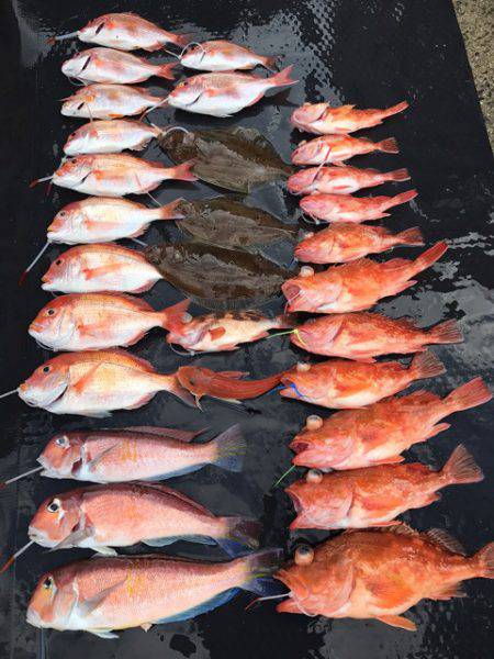 まるいち丸 ZERO-1 釣果