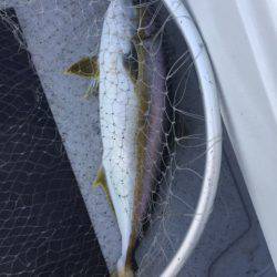 第二龍勢丸 釣果