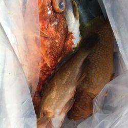 第二龍勢丸 釣果