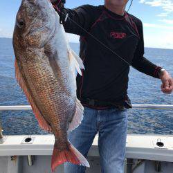 まるいち丸 ZERO-1 釣果