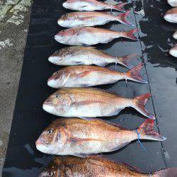 まるいち丸 ZERO-1 釣果