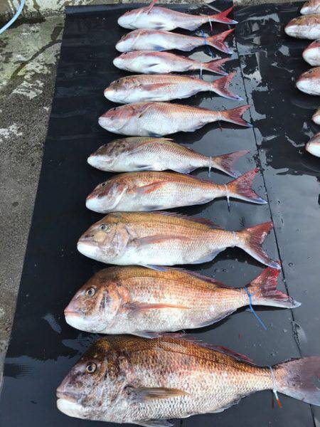 まるいち丸 ZERO-1 釣果