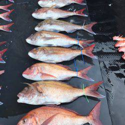 まるいち丸 ZERO-1 釣果