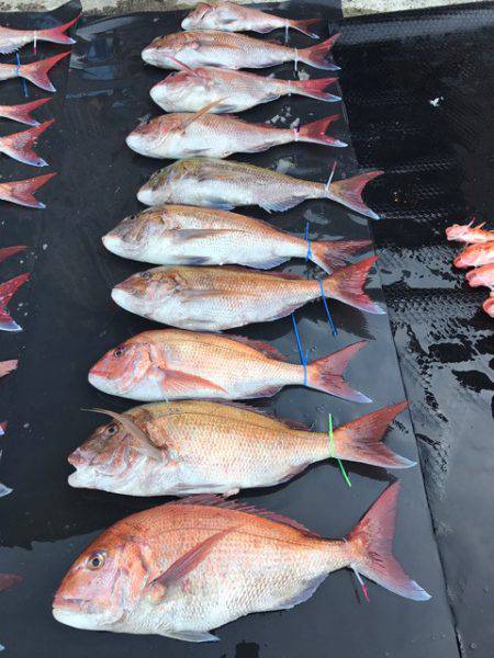 まるいち丸 ZERO-1 釣果