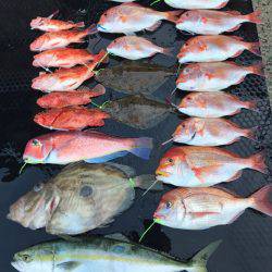 まるいち丸 ZERO-1 釣果