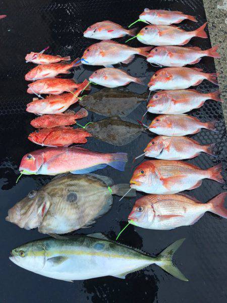 まるいち丸 ZERO-1 釣果