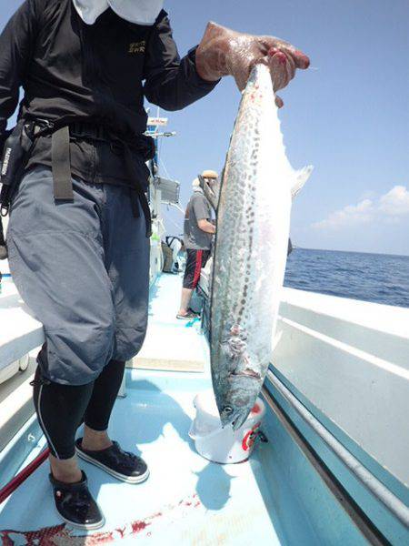 水天丸 釣果