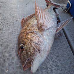 まるいち丸 ZERO-1 釣果