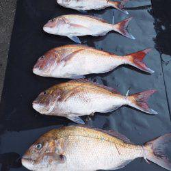 まるいち丸 ZERO-1 釣果