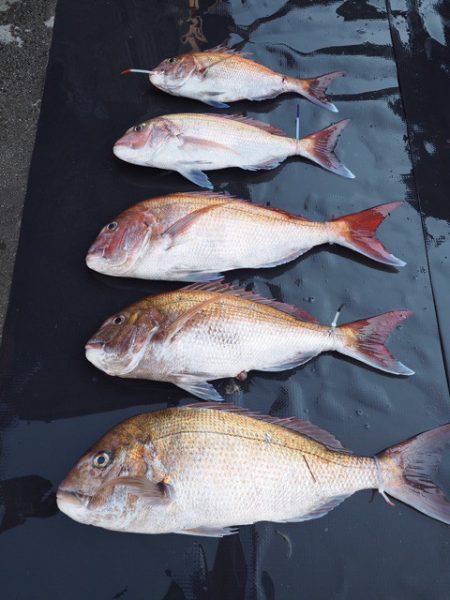 まるいち丸 ZERO-1 釣果