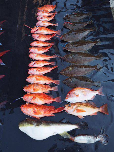 まるいち丸 ZERO-1 釣果