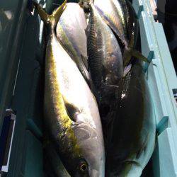 第二八坂丸 釣果