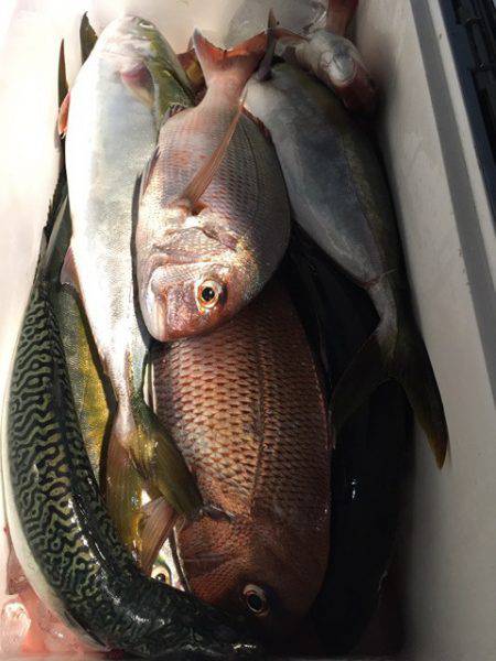 第二八坂丸 釣果