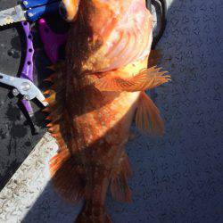 第二龍勢丸 釣果