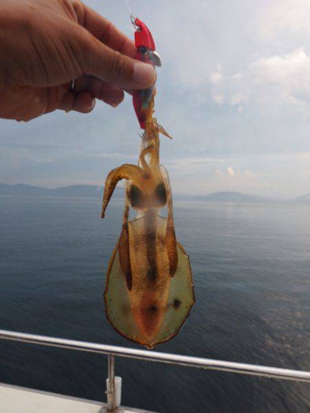 まるいち丸 ZERO-1 釣果