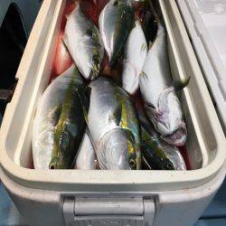 第二八坂丸 釣果