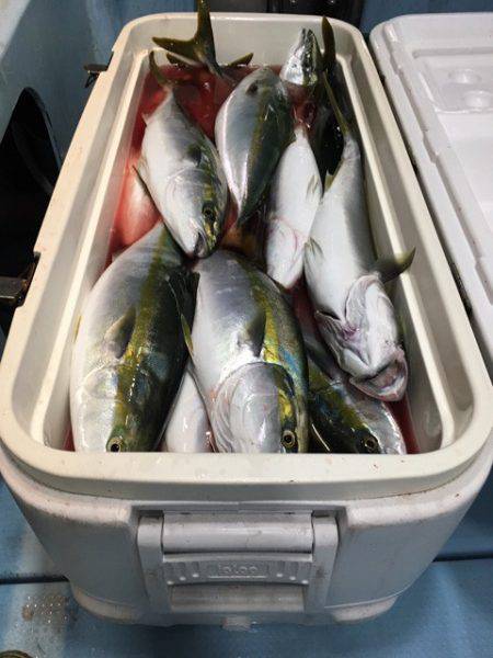 第二八坂丸 釣果