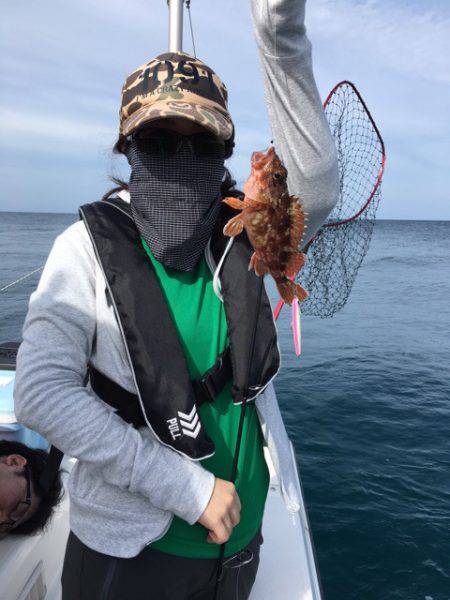 うさぎ丸 釣果