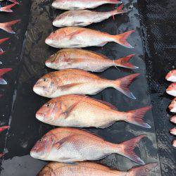 まるいち丸 ZERO-1 釣果