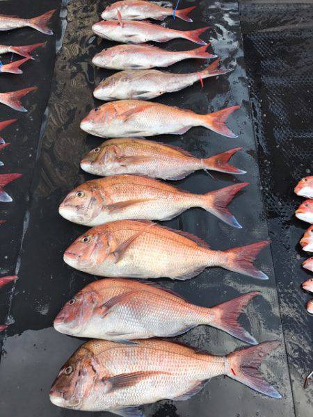 まるいち丸 ZERO-1 釣果