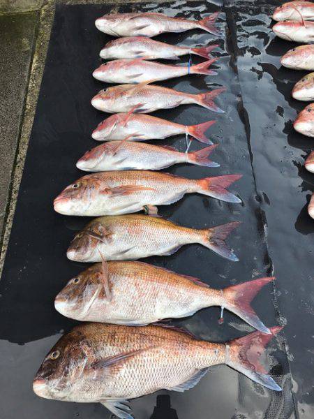 まるいち丸 ZERO-1 釣果