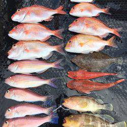 まるいち丸 ZERO-1 釣果